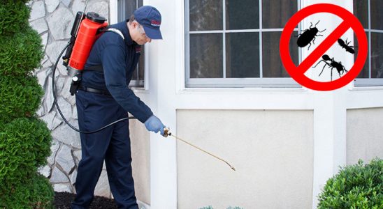 Tekkeköy Dezenfeksiyon böcek ilaçlama ve haşere kontrolü — ilaclama-tr.com